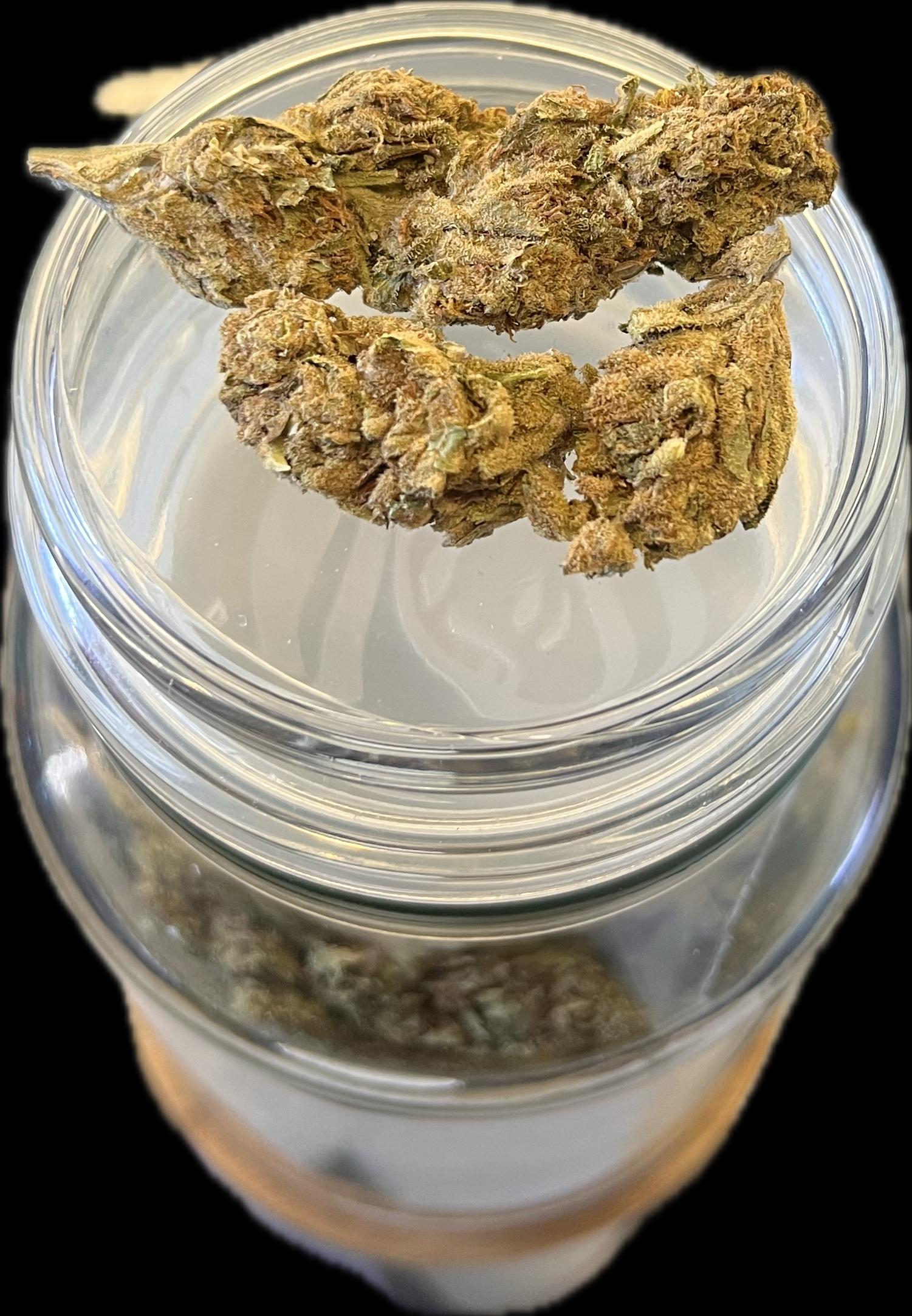 Oasis 2
